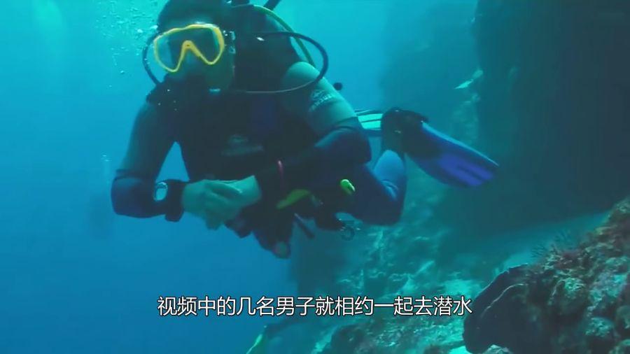 摩娜的时尚装扮