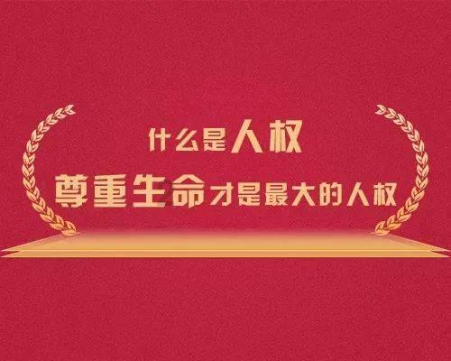 欢乐碰碰车3D
